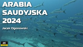 Nurkowanie Arabia Saudyjska 2024 Jacek Ogonowski [upl. by Sanferd729]