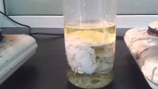 High concentration silver nitrate and Hydrochloric acid [upl. by Aetnuahs]