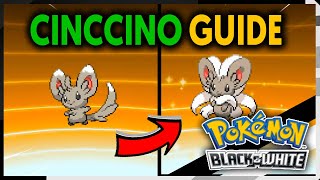 HOW TO EVOLVE MINCCINO INTO CINCCINO ON POKEMON BLACK AND WHITE [upl. by Gilford688]