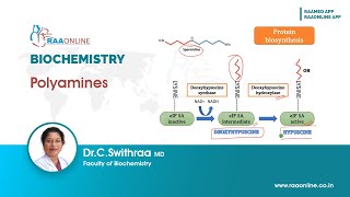 Polyamines [upl. by Irah]