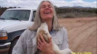 One 4 All Animal Rescue Clovis New Mexico [upl. by Wendye]