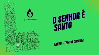 O Senhor é Santo SANTO  TEMPO COMUM [upl. by Slavin231]