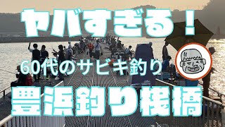 豊浜釣り桟橋 サビキ釣り 2024年8月４日（日） [upl. by Solly]