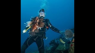 We Speared Over 300 Lionfish in One Day UPDATE OVER 2 MILLION VIEWS [upl. by Igic]