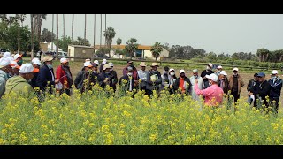 Journée Variétés INRA de colza 31 mars 2021 [upl. by Doris872]