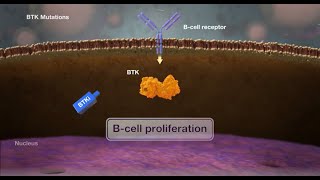 Mechanism of Brutons Tyrosine Kinase BTKMutations [upl. by Inotna]