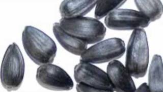 Why egyptian BLACK SEEDS are so good for you [upl. by Dynah381]