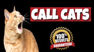 Sound to Call Cats GUARANTEED [upl. by Ursi]