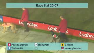 Crayford Greyhounds Races on 10th September 2024 [upl. by Cavil119]