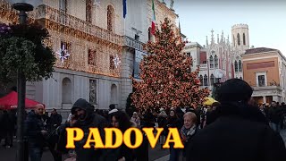 PADOVAPaduaITALY 🇮🇹 EVENING WALK ON CHRISTMAS 2023 SEASON  4K WALKING TOUR [upl. by Amaty]