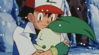 ¡Chikorita  Pokémon Los Viajes de Johto  Clip oficial [upl. by Saundra497]