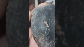 Stony iron meteorite Black Chondrite85515879709 [upl. by Amalburga]