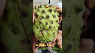 Fresh seasonal fruits Pure green and pollutionfree fruits Open durian [upl. by Kress]