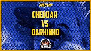 Cheddar X Darkinho  Copa Pinhão 2024 [upl. by Latnahc]