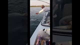 Pesca de Surubí en el Parana [upl. by Scarlett119]