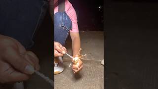 Diwali 🪔 Childhood Memories 😆🥹 Mr Bunny  diwali shorts funnyvideo dushyantkukreja [upl. by Valenza]