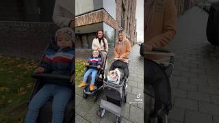 This kid never saw a dog talking before frenchbulldog dog pet funnyclips viralvideo frenchie [upl. by Anaujik]