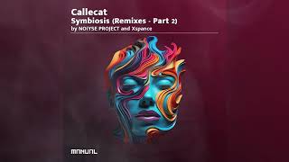 Callecat  Intro Outro Xspance Remix [upl. by Berners]