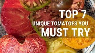 Discover 7 Unique Rare and Delicious Heirloom Tomato Varieties [upl. by Channa]