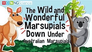 The Wild and Wonderful Marsupials Down Under – Australian Marsupials [upl. by Way]