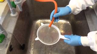 Immobilised enzyme investigation [upl. by Niwroc]