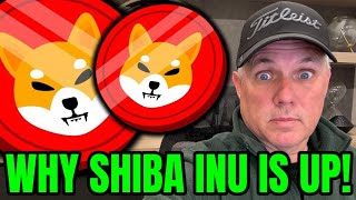 WHY SHIBA INU IS ROCKETING UP FIND OUT NOW [upl. by Gierk600]