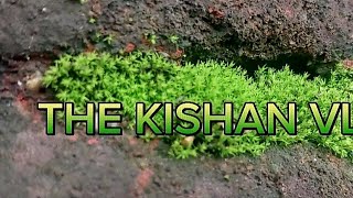 MY HOMEGROUND  FOOTBALL TOURNAMENT  THE KISHAN VLOG [upl. by Bores655]