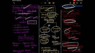 BURKHOLDERIA  RESPIRATORY SYSTEM  MICROBIOLOGY [upl. by Tolmann736]