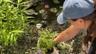 🪴 Patio Planting  How to Make Compost in Place 🪴 [upl. by Anattar]