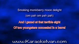 Paul McCartney  Monkberry Moon Delight KARAOKE [upl. by Ermanno]