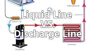 Liquid Line VS Discharge Line [upl. by Trudie]