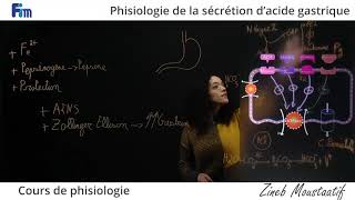 Cours de Physiologie Physiologie de la sécrétion dacide gastrique [upl. by Gee489]