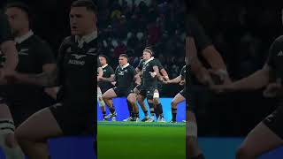 Tj PERENARA LAST HAKA WAS🔥 rugby rugbyplayerreacts [upl. by Eirrok805]