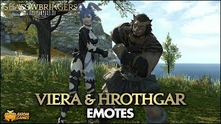 FFXIV Shadowbringers  Viera amp Hrothgar Emotes [upl. by Anitnuahs]