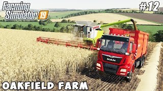 Harvesting barley baling straw  Farming on Oakfield Farm  Farming simulator 19  Timelapse 12 [upl. by Garrek]