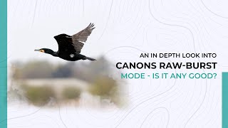 An In Depth Review Into Canons Raw Burst Mode Precapture [upl. by Peregrine]