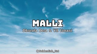 DHURATA DORA X YLL LIMANI  MALLI Lyrics [upl. by Onaicnop590]