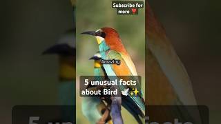 5 Amazing facts about birds 🕊️shorts facts [upl. by Fontes587]