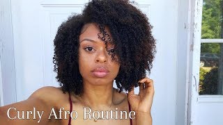 UPDATED CURLY HAIR ROUTINE FOR 4a HAIR DETAILED  Ariannalyf [upl. by Eseyt]