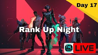 Rank Up Night  Day 17 of 100 days live streams [upl. by Hilliary]