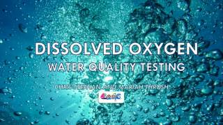 Dissolved Oxygen Water Quality Testing [upl. by Lohse789]