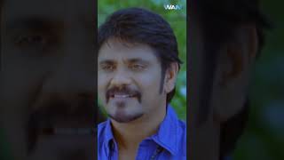 Superhit Scene Nagarjuna  BHAI MERA BIG BROTHER  Prasanna  viralshorts nagarjuna [upl. by Letsyrc]