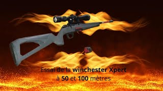 💥Winchester Xpert 22lr à 50 et 100 mètres💥🧿 [upl. by Aisaim]