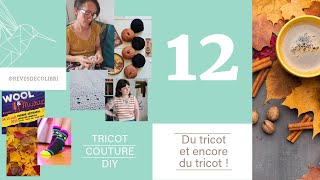 VLOG 12  Du tricot et encore du tricot [upl. by Iralam]