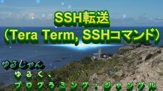 【SSH】SSH転送Tera Term SSHコマンドによる設定 [upl. by Deerdre]