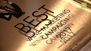 FurmintUSA Wins Best Wine Marketing Campaign  VinCE Awards 2017 [upl. by Hattie]