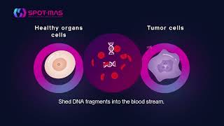 SPOTMAS a MultiCancer Early Detection Test [upl. by Assirim]