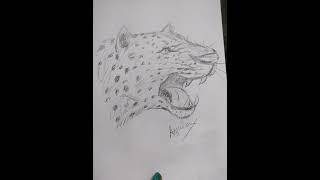 leopard face drawing easy tutorial by pencil animal sourabhjoshiart viralvideo leopard ANJULA 🌹🐱 [upl. by Benco]