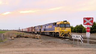 4PM6 Pacific National Container Freight Train At Sunset 2892024  PoathTV Railways In Australia [upl. by Nytsirk]