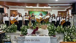 Bendito Cordero de Dios Canta La Rondalla Cuerdas de Amor [upl. by Orvil233]